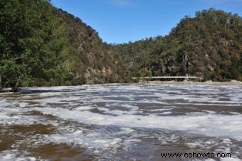 Causas de la degradación ambiental