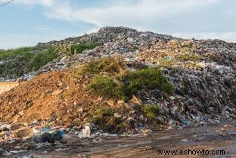 Causas de la contaminación del suelo