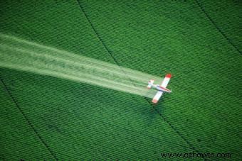 Peligros del uso de pesticidas