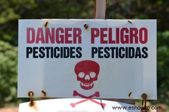 Peligros del uso de pesticidas