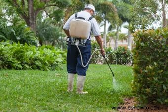 Peligros del uso de pesticidas