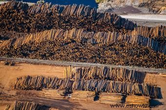 Deforestación en Estados Unidos