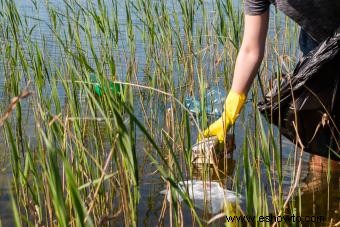 Cómo detener la contaminación del agua