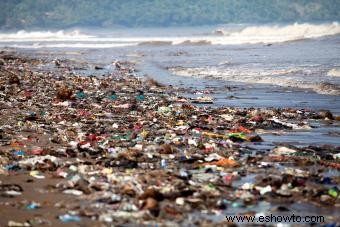 Soluciones para la contaminación del océano
