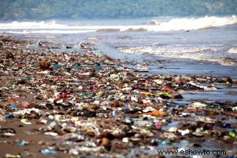 Tipos de contaminación del océano