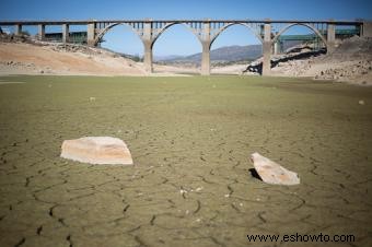 ¿Cuáles son las principales causas naturales y humanas de la sequía?