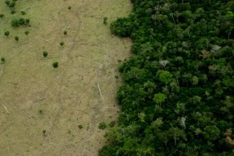 ¿Cuáles son las principales causas naturales y humanas de la sequía?