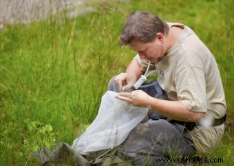 ¿Qué es la biología de la conservación?