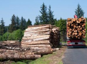 ¿Qué es la deforestación? Causas, impactos globales y soluciones efectivas