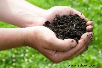 ¿Qué es la conservación del suelo?