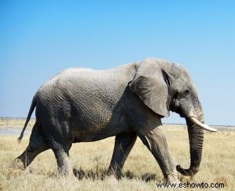 ¿Por qué es importante ser ecológico?