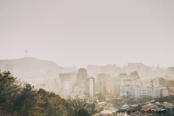 ¿Por qué es importante nuestro medio ambiente?