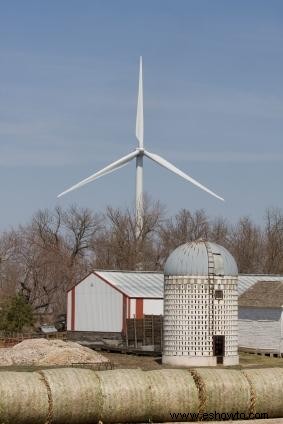 Ecosistemas agrícolas y medio ambiente