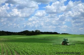 Ecosistemas agrícolas y medio ambiente