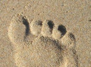 Calculadora de Huella de Carbono: Calcula y Reduce tu Impacto Ambiental