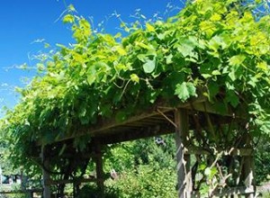 Planes Gratuitos de Pérgolas: Diseños Fáciles para Jardines y Caminos con Instrucciones Paso a Paso