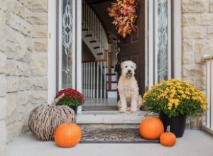 3 Temas Otoñales Encantadores para Decorar tu Hogar con Estilo y Calidez