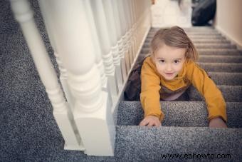 Una guía para elegir la mejor alfombra para sus escaleras