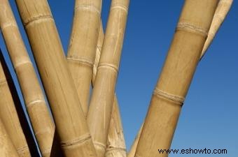 Barras de bambú para cortinas:guía básica y dónde encontrarlas