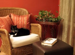 Diseño de Interiores Pet-Friendly: Ideas Prácticas y Elegantes para Dueños de Mascotas