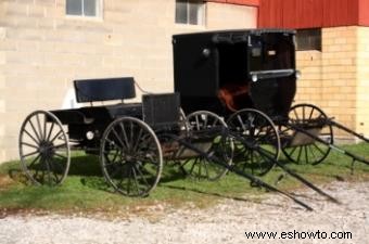 Inspiración y características del borde del papel tapiz Amish