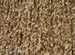 Guía experta: Cómo elegir e instalar alfombras resistentes para interiores y exteriores