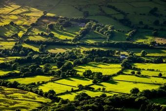 Beneficios de la agricultura ecológica