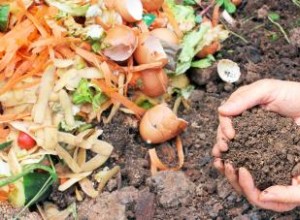 Ventajas y desventajas de los fertilizantes orgánicos: Guía experta para tu jardín