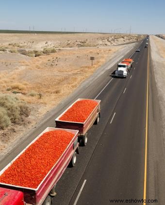 Efectos negativos de la agricultura orgánica