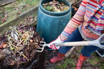 Cómo cultivar una huerta orgánica