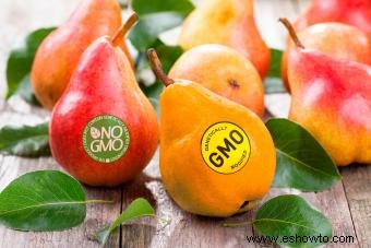 Pros y contras de los OMG