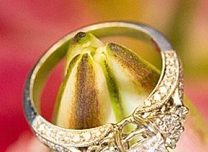 Guía Esencial de Montajes para Anillos de Compromiso: Conceptos Clave