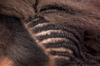 Consejos simples para el cabello negro para el cuidado diario