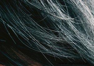 Reseñas de la fibra espesante del cabello Nexgen