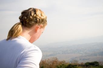 Trenzas francesas