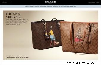 Compras en Coach Outlets