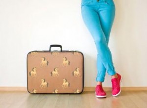 Equipaje con estampado de caballos