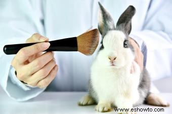 ¿Mary Kay prueba en animales?