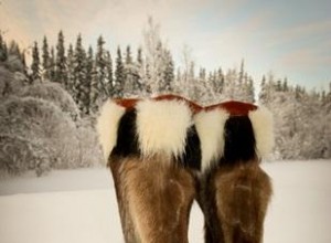 Botas con Forro de Piel para Hombre: Calor, Estilo y Resistencia en Invierno