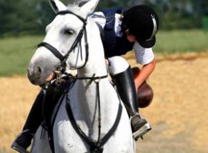 Guía Completa de Botas de Montar: Historia, Tipos y Cómo Elegirlas