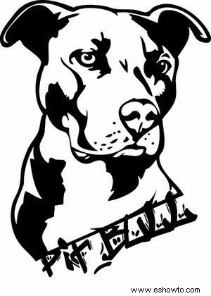 Diseños de tatuajes de pitbulls