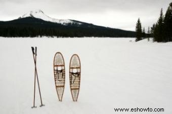 Raquetas de nieve y soledad:encontrar una experiencia que cambie la vida