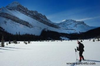 Raquetas de nieve y soledad:encontrar una experiencia que cambie la vida