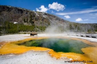 Campamento de travesía en Yellowstone:una introducción rápida 