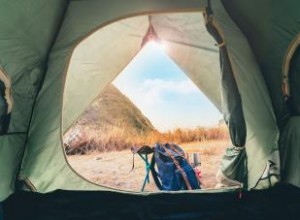 Acampar Fácil: Consejos de Expertos para Principiantes en su Primer Viaje