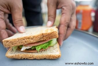 Comidas económicas para acampar:Ideas rápidas para ahorrar tiempo y dinero