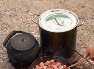 5 Libros Esenciales de Cocina al Aire Libre para Campamentos Inolvidables