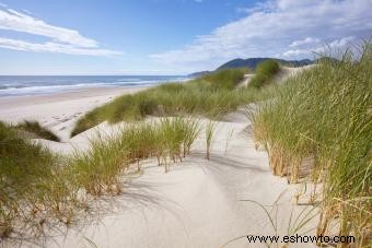 Los cinco mejores campamentos de la costa de Oregón:disfruta de una escapada única