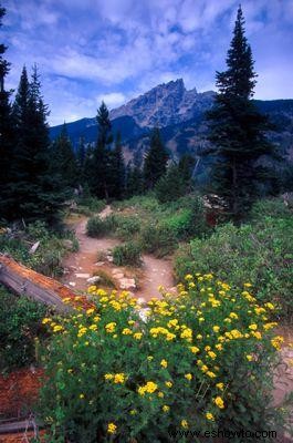 27 rutas de senderismo de Wyoming que prueban la belleza del estado