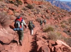 Equipo Esencial para Mochileros: 24 Elementos Indispensables para tu Lista de Senderismo